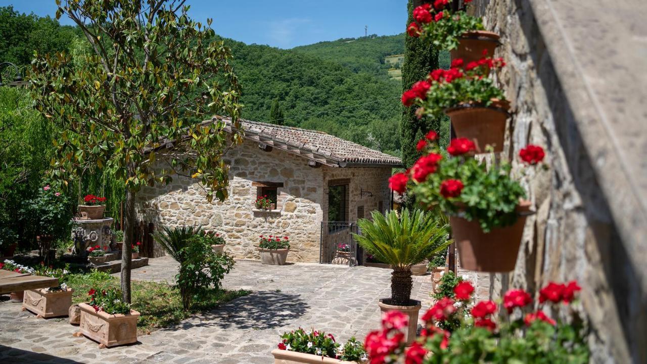 פרוג'ה Agriturismo I Pietrini מראה חיצוני תמונה